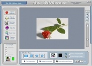 scr-acewinscreen.jpg
